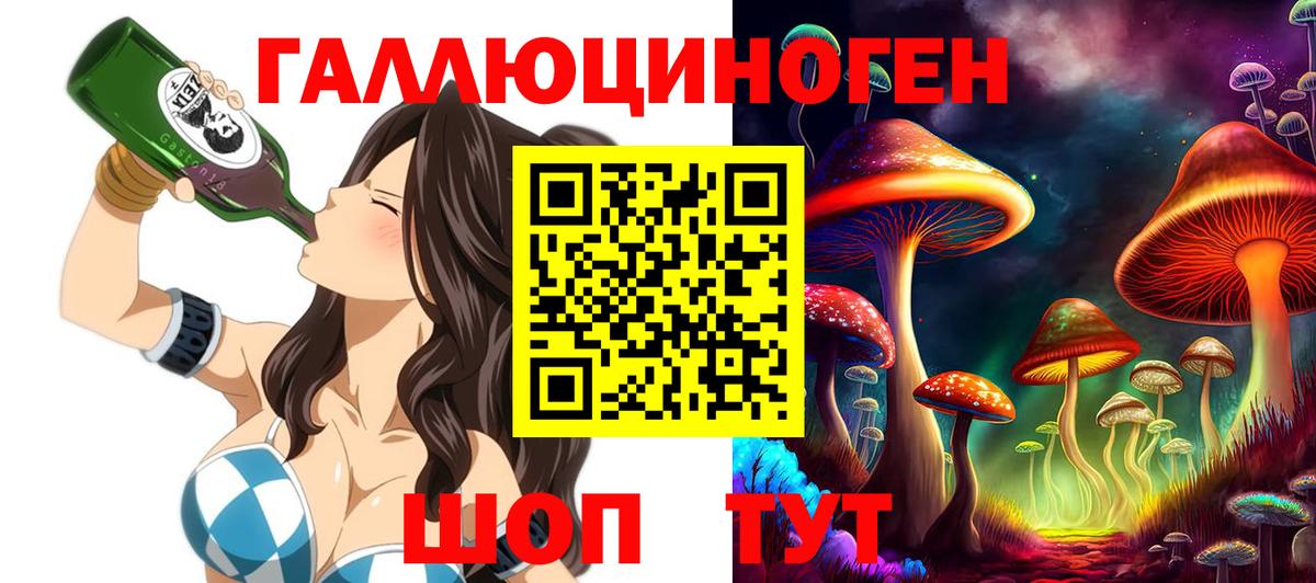 Галлюциногенные грибы Psilocybe  Гусев 